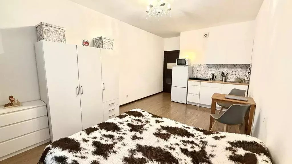 Студия Санкт-Петербург аллея Арцеуловская, 23к1 (24.5 м) - Фото 2