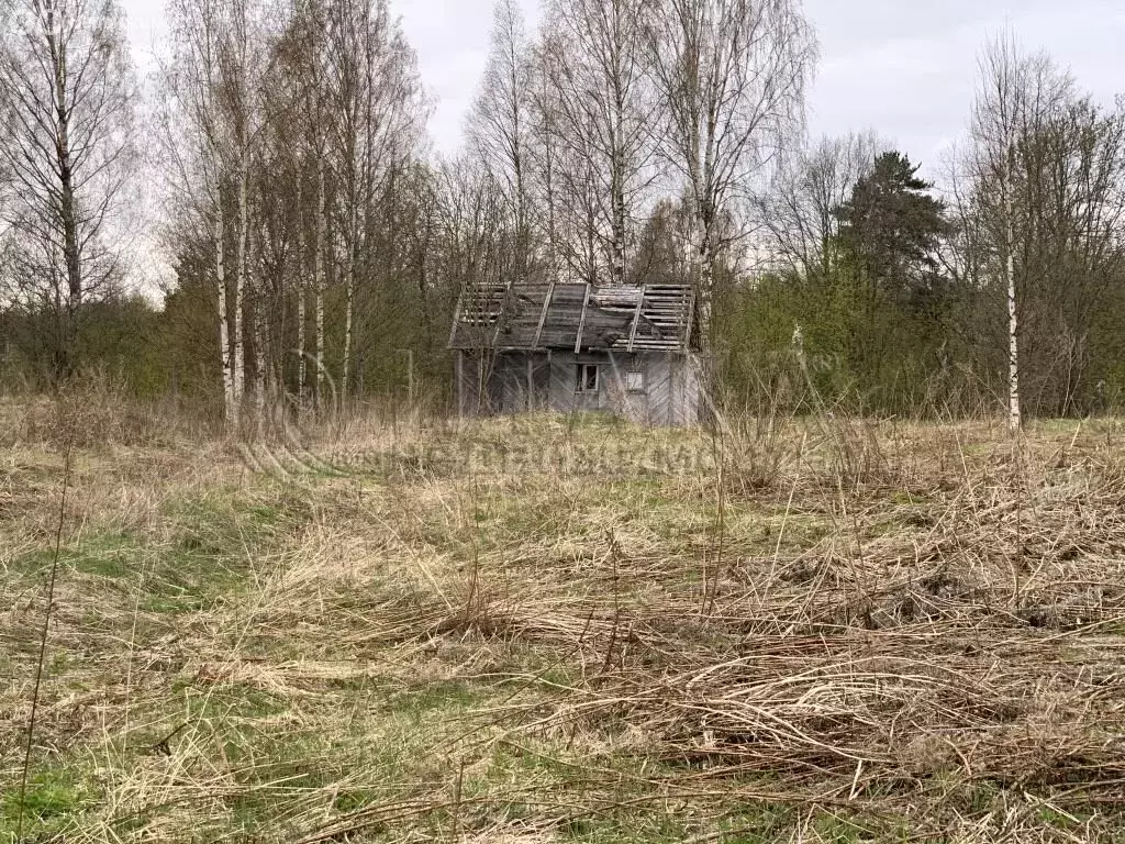 Дом в деревня Шамокша, Сельская улица, 3 (16.3 м) - Фото 0