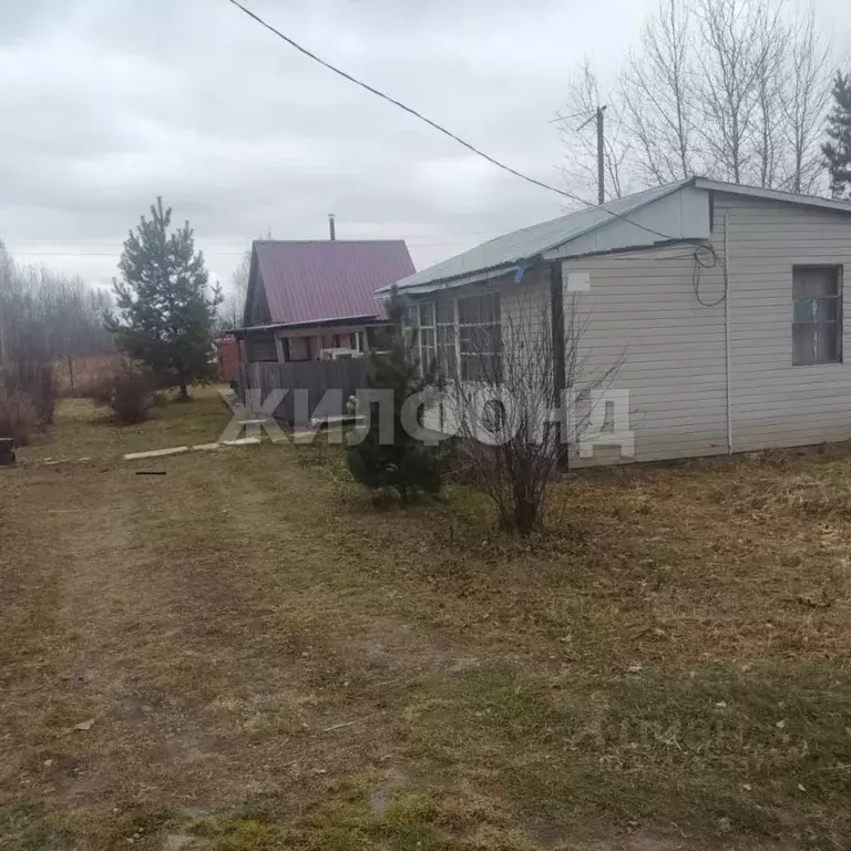 Дом в Алтайский край, Курьинский район, Колыванский сельсовет, с. ... - Фото 0