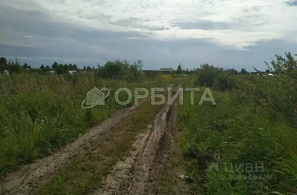 Участок в Тюменская область, Тюмень Поле Чудес садовое товарищество, ... - Фото 0