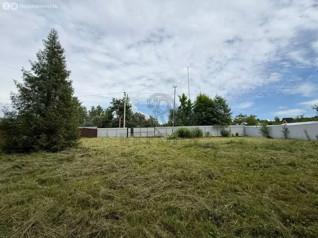 Участок в Богородский городской округ, СНТ Эфир, 8 (6 м) - Фото 2