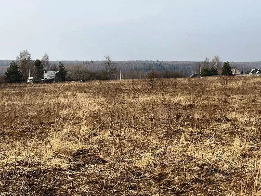 Участок в Владимирская область, Киржачский муниципальный округ, д. ... - Фото 1