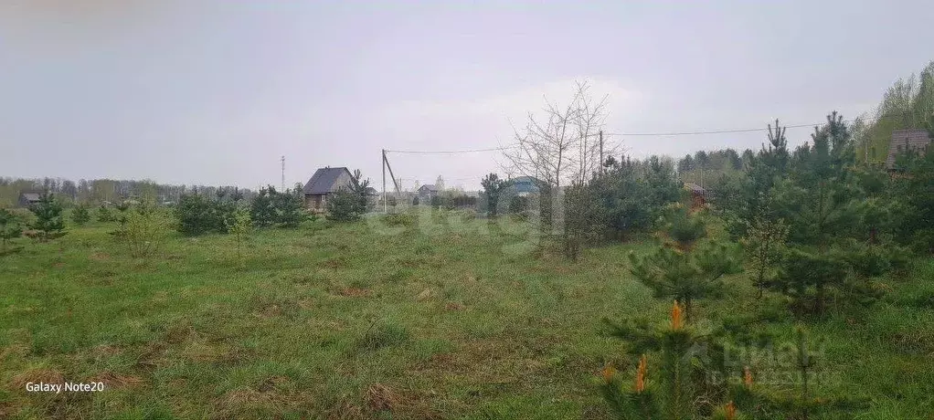 Участок в Брянская область, Брянский район, с. Домашово  (15.0 сот.) - Фото 1