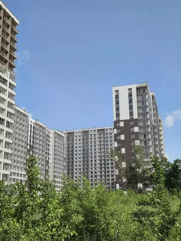 Студия Санкт-Петербург ул. Архивная, 6 (24.32 м) - Фото 0