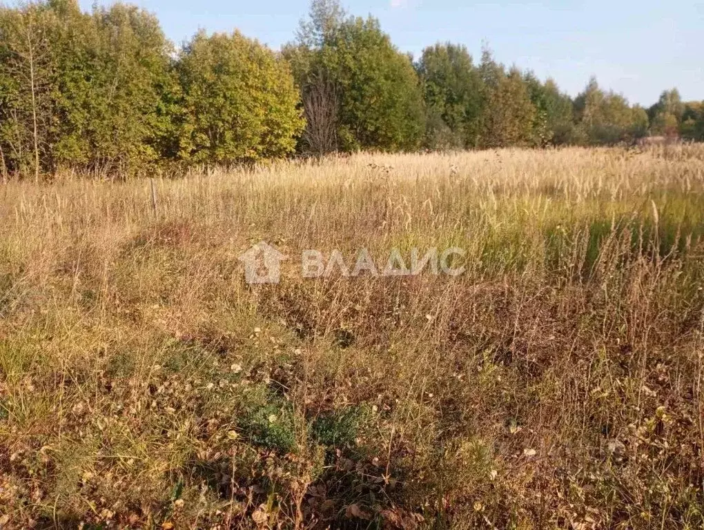 Участок в Владимирская область, Суздальский район, Селецкое ... - Фото 0