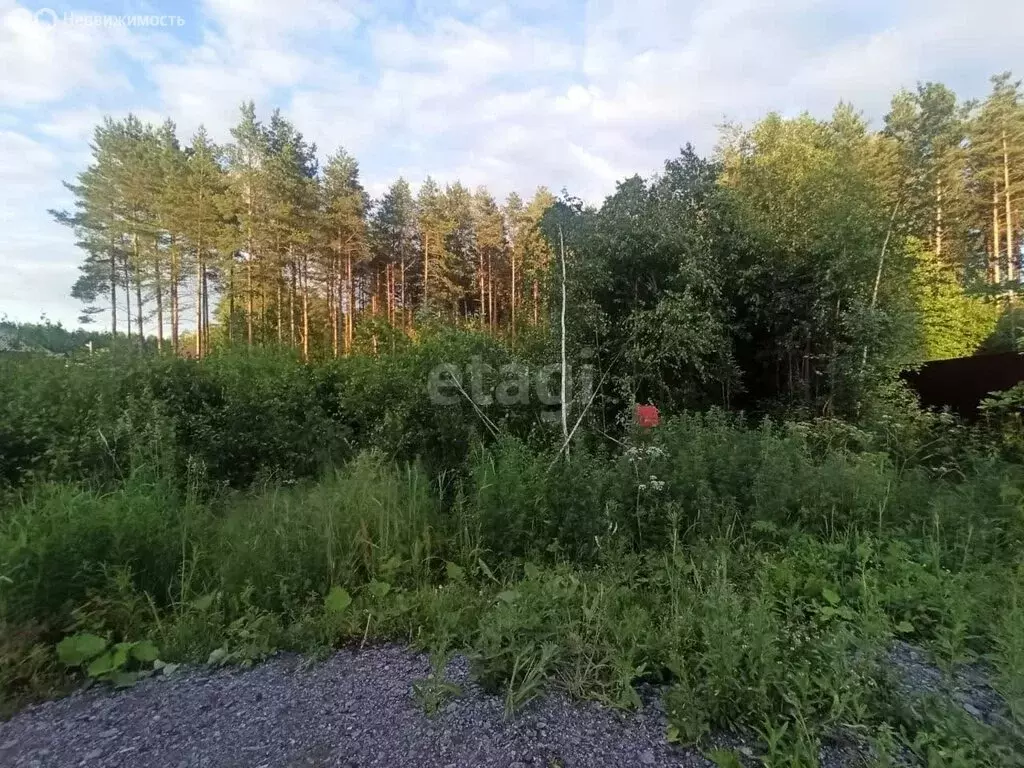 Участок в Череповецкий район, Судское сельское поселение, посёлок Суда ... - Фото 0