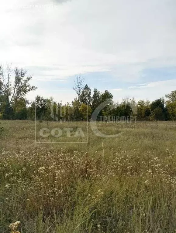 Участок в Воронеж, Большая Советская улица (8 м) - Фото 1