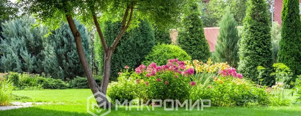 Участок в Новосибирская область, Новосибирский район, Мичуринский ... - Фото 1