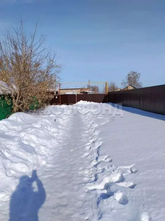 Участок в Новосибирская область, Новосибирский район, Криводановский ... - Фото 1