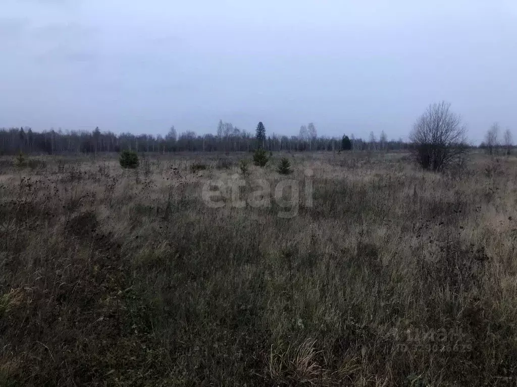 Участок в Томская область, Томский район, д. Борики  (15.0 сот.) - Фото 1