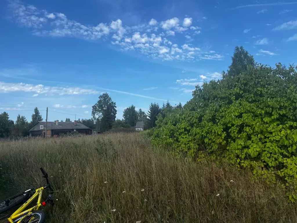 Участок в Новгородская область, Чудовский район, Грузинское с/пос, д. ... - Фото 1