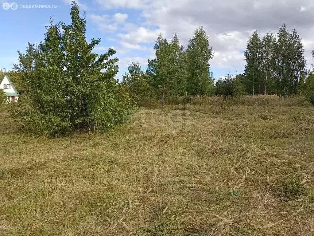 Участок в Верхнеуслонский район, Октябрьское сельское поселение, СНТ ... - Фото 2