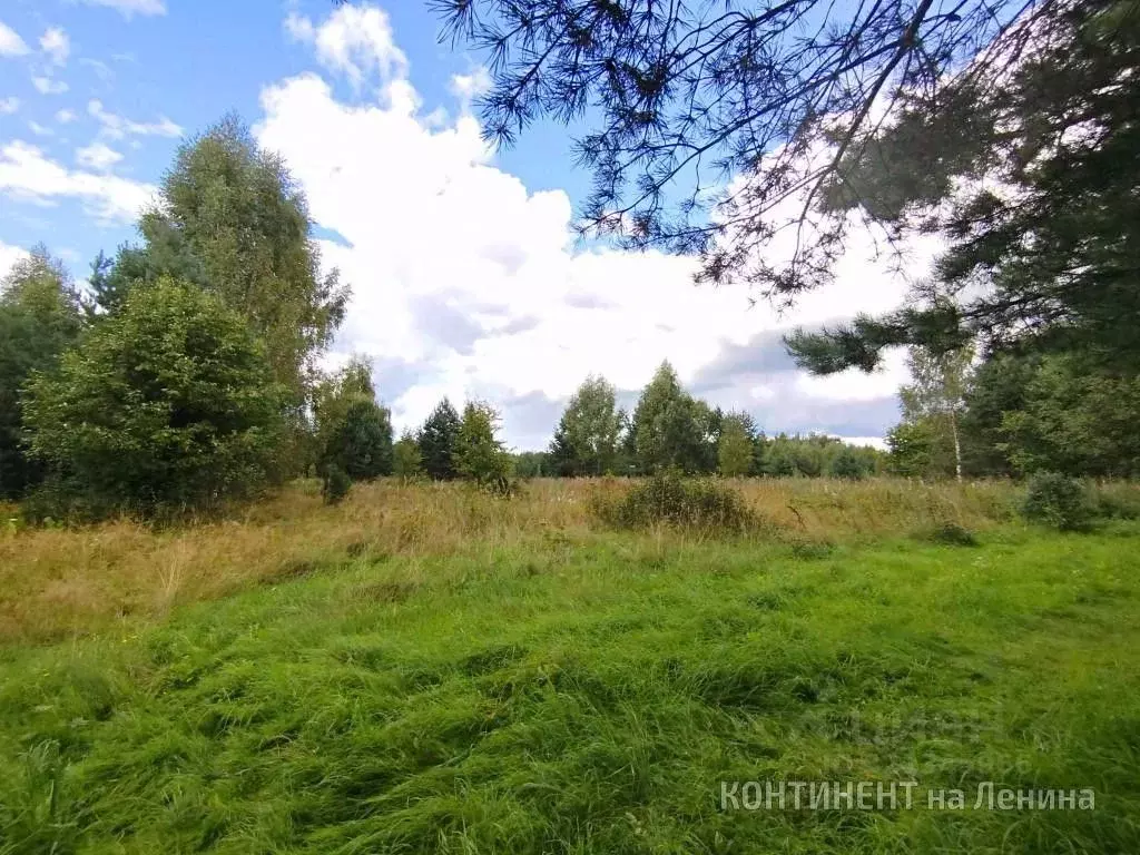 Участок в Ярославская область, Мышкинский муниципальный округ, д. ... - Фото 1