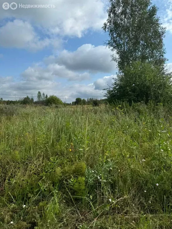 Участок в Мошковский район, село Новоалександровка (12 м) - Фото 1