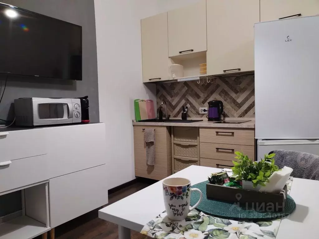 Студия Санкт-Петербург ул. Плесецкая, 20к1 (25.0 м) - Фото 0