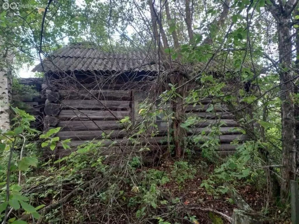 Участок в Свердловская область, Тавда (5.93 м) - Фото 1