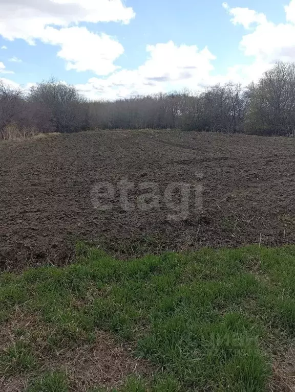 Участок в Амурская область, Тамбовский муниципальный округ, с. ... - Фото 1