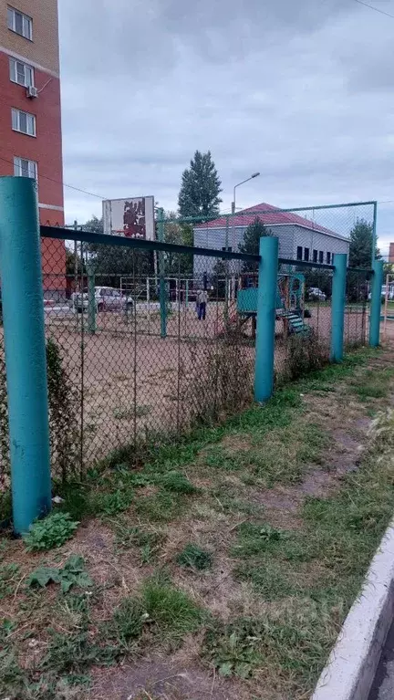 Студия Омская область, Омск ул. 5-я Линия, 227Ак2 (30.0 м) - Фото 2