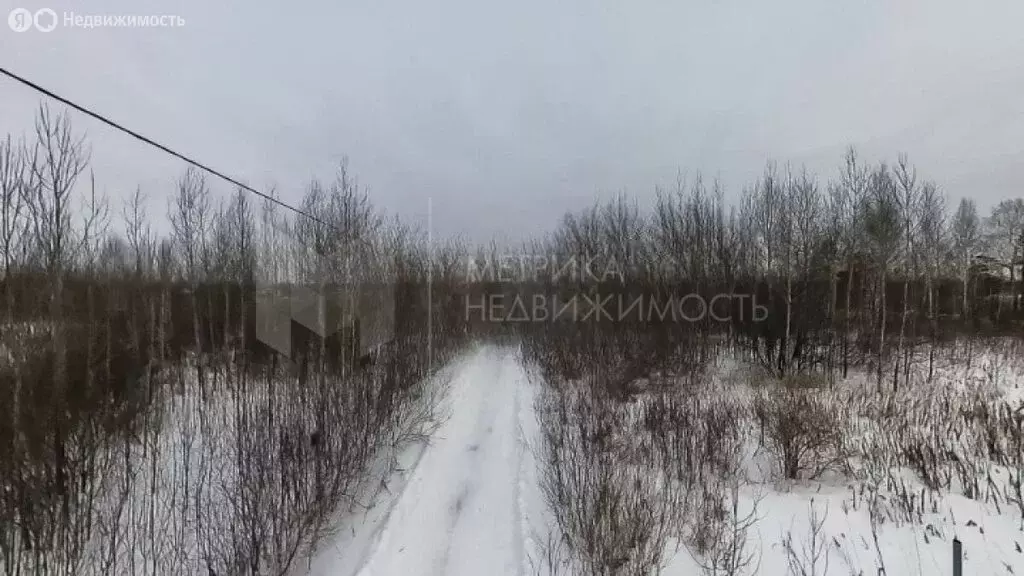 Участок в Тюмень, садовое товарищество Поле Чудес, Виноградная улица ... - Фото 1