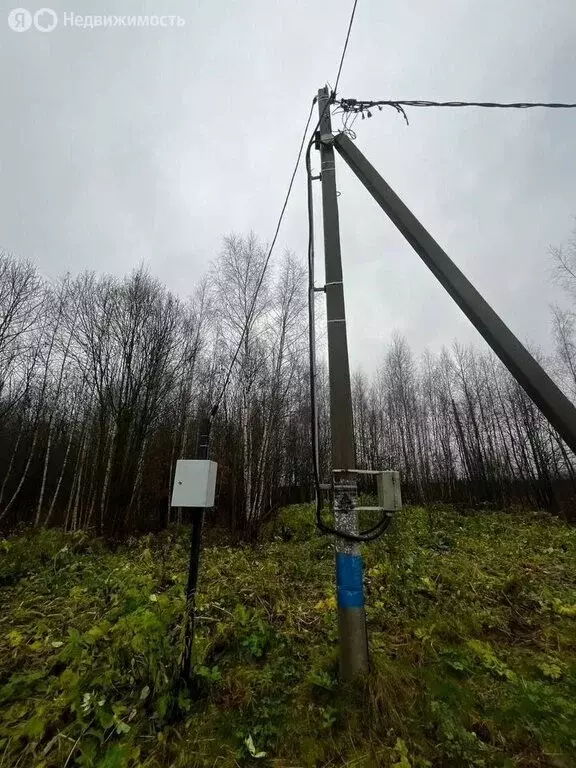 Участок в Московская область, муниципальный округ Чехов, деревня ... - Фото 2