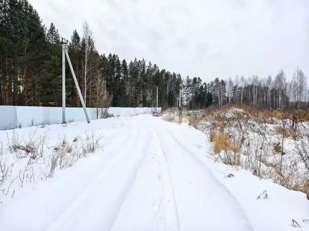 Участок в Тюменская область, Нижнетавдинский район, д. Штакульская  ... - Фото 0