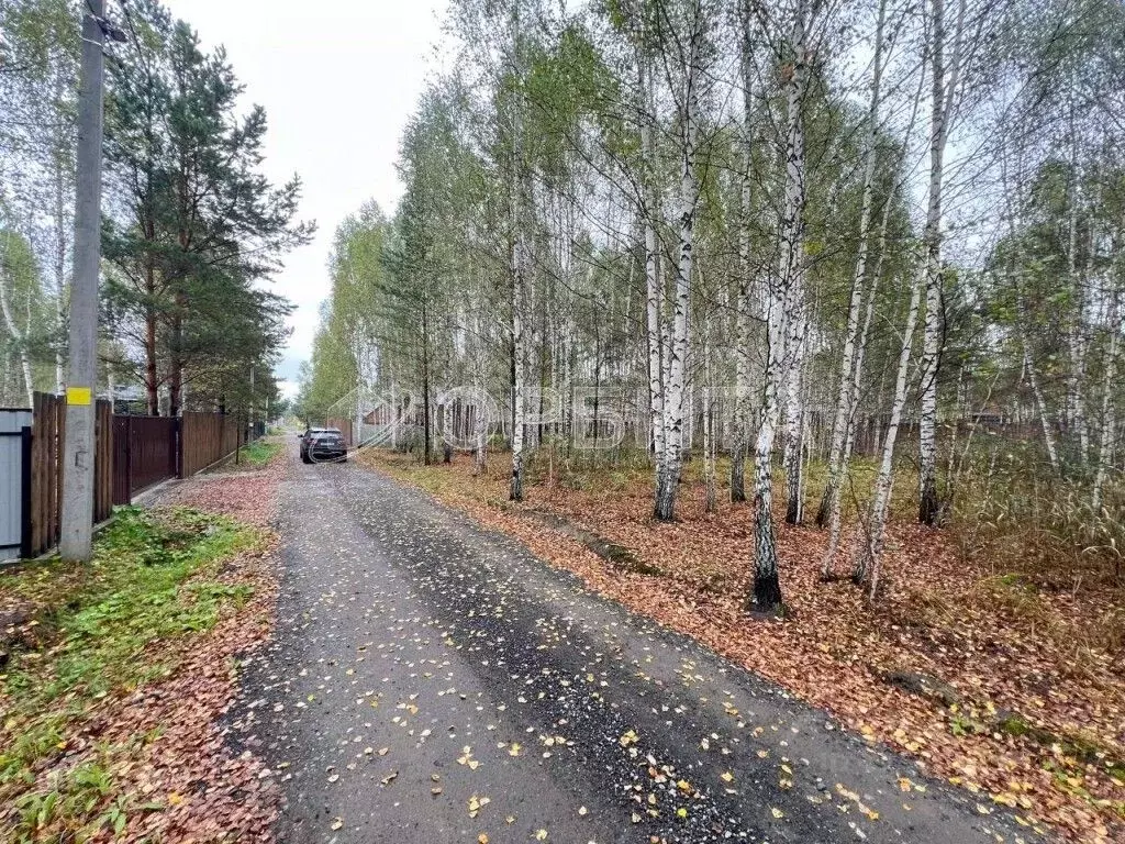 Участок в Тюменская область, Нижнетавдинский муниципальный округ, ... - Фото 1