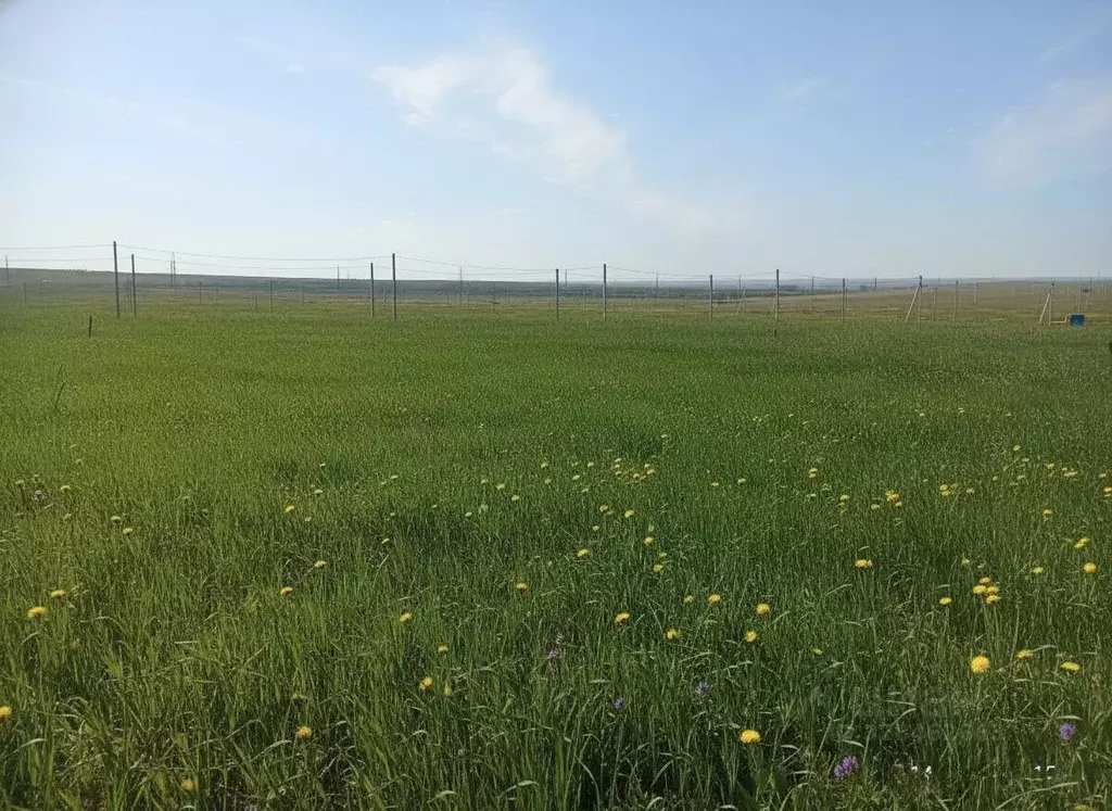 Участок в Оренбургская область, Оренбург городской округ, пос. ... - Фото 1