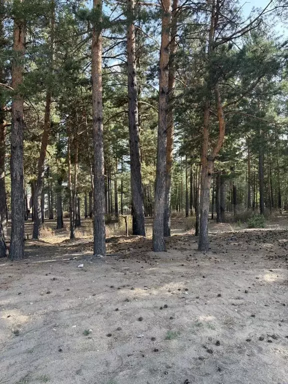 Участок 8 сот. (ИЖС) - Фото 1