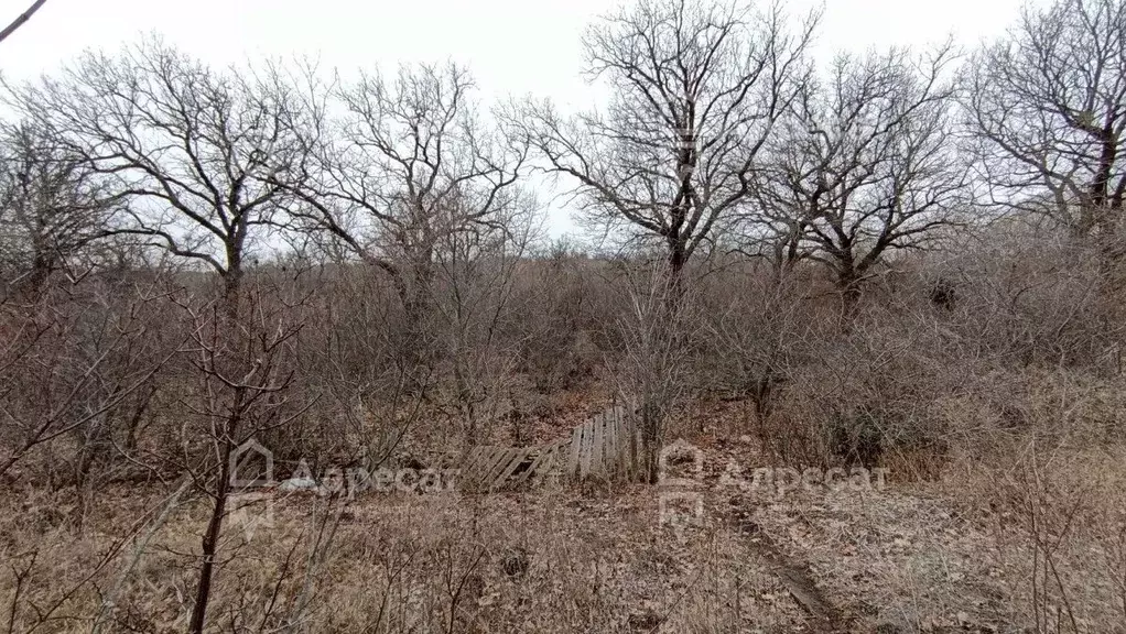 Дом в Волгоградская область, Волгоград Кировец СНТ,  (30 м) - Фото 1