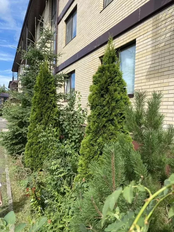 Студия Ленинградская область, Всеволожский район, д. Юкки ул. ... - Фото 2