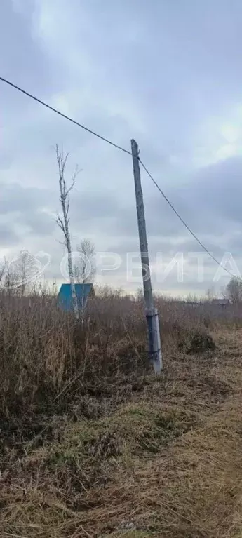 Участок в Тюменская область, Нижнетавдинский район, Сочинское ДНТ  ... - Фото 1