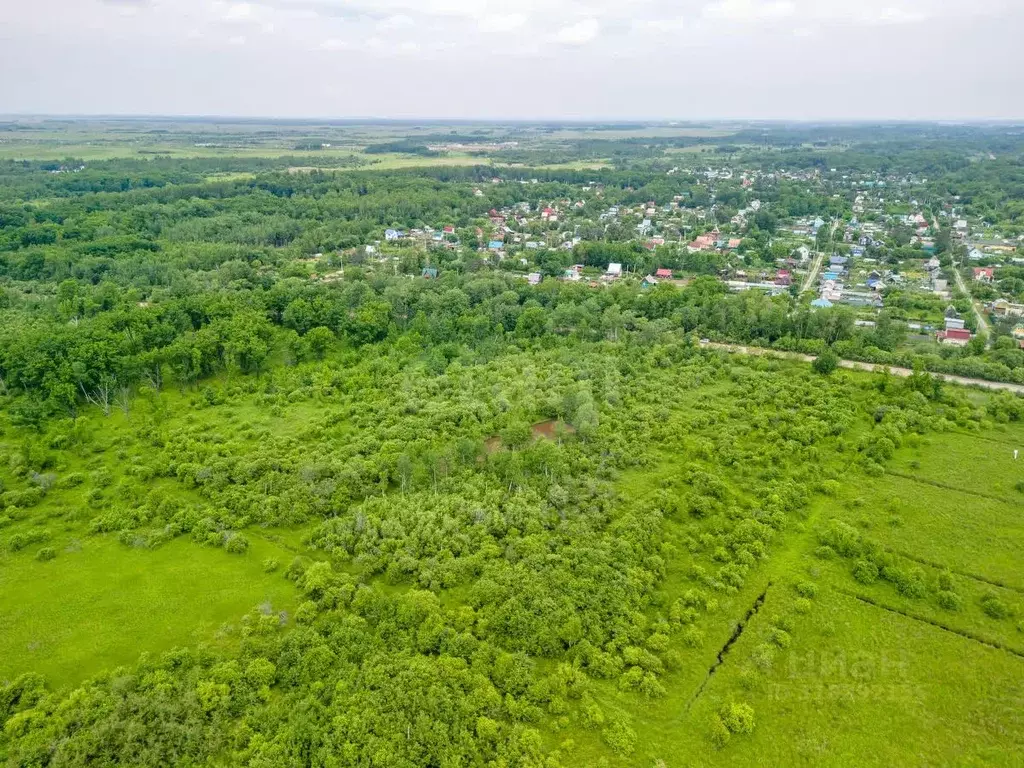 Участок в Еврейская автономная область, Смидовичский район, с. ... - Фото 1