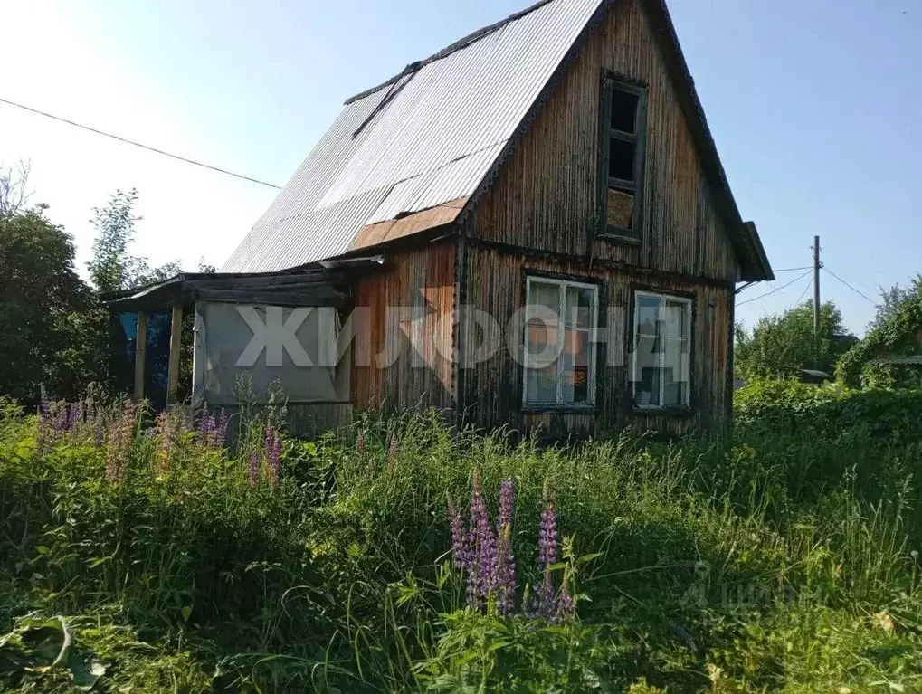 Дом в Новосибирская область, Новосибирский район, Березовский ... - Фото 2