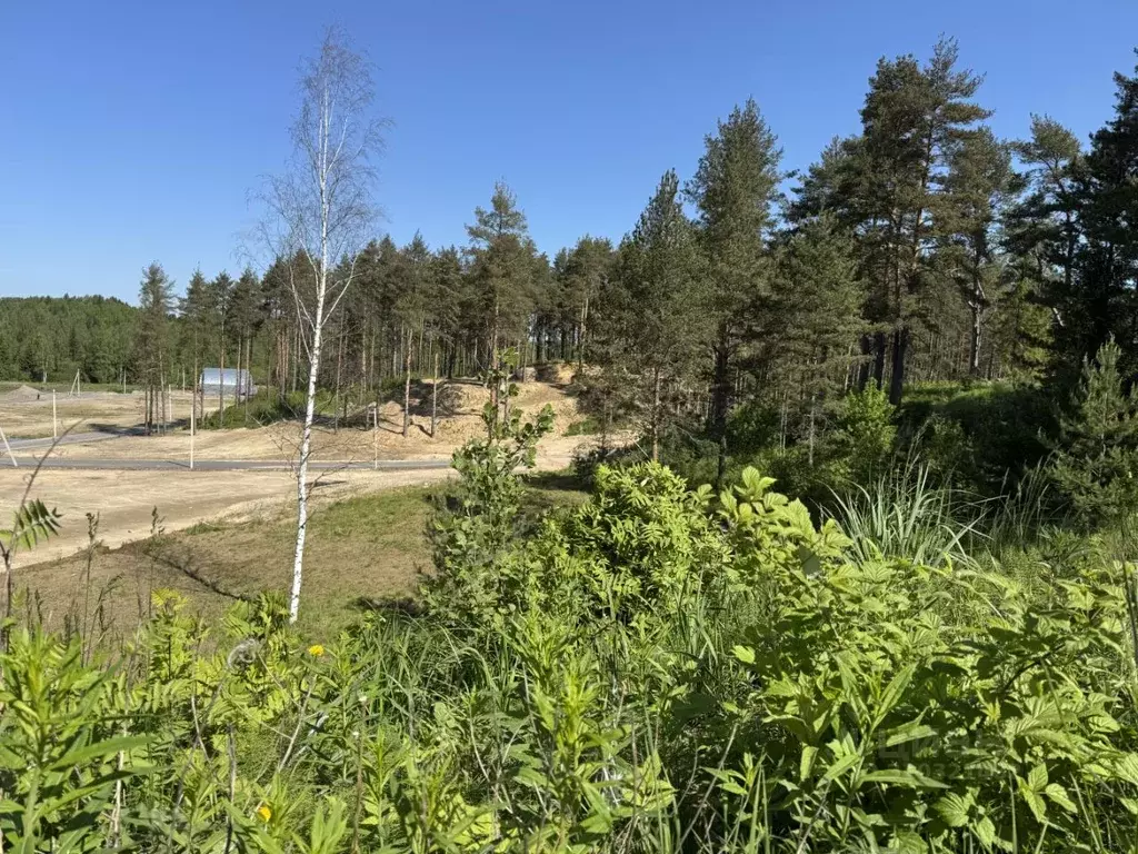 Участок в Ленинградская область, Всеволожский район, Бугровское ... - Фото 1