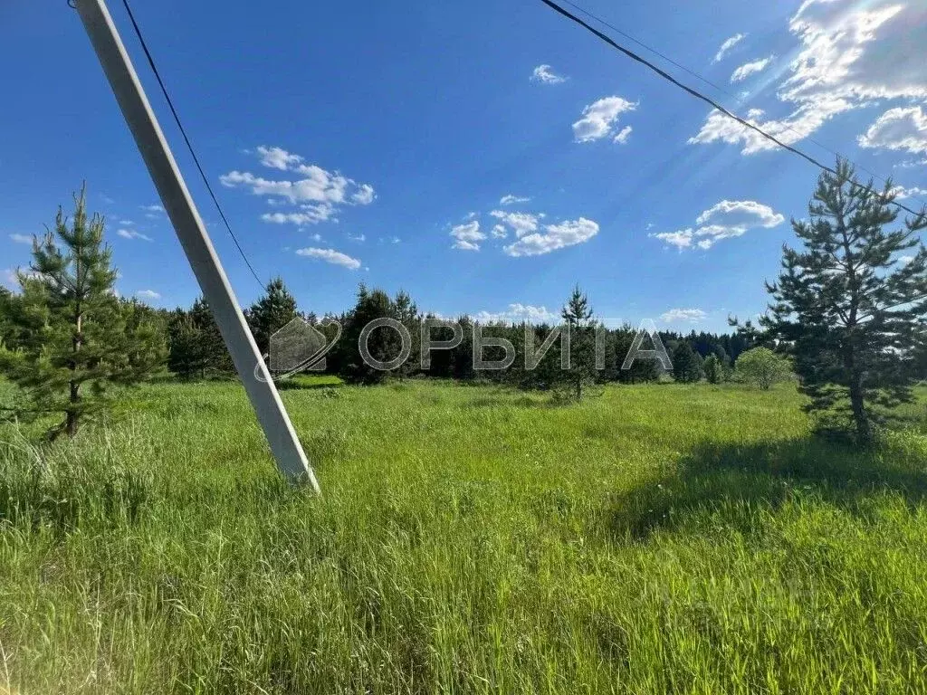 Участок в Свердловская область, Тугулым пгт ул. Новая (14.94 сот.) - Фото 2