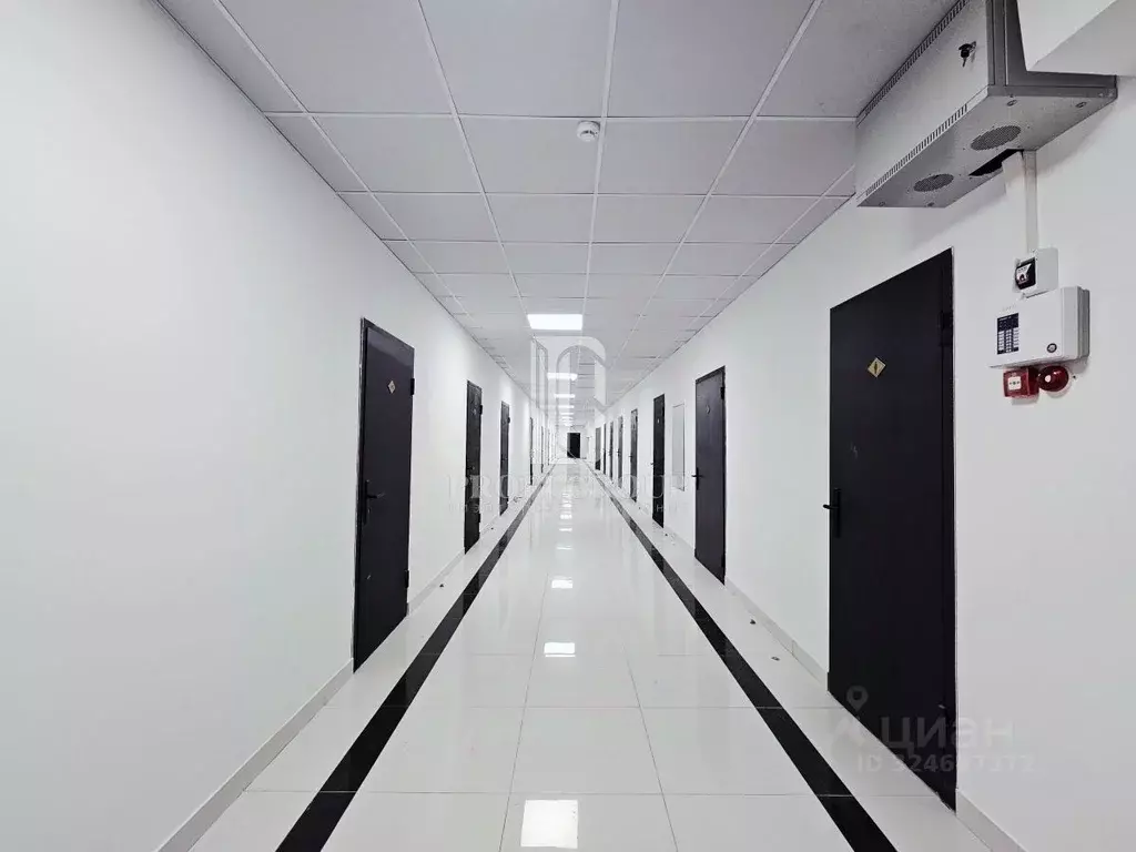 Офис в Дагестан, Махачкала просп. Имама шамиля (16 м) - Фото 2