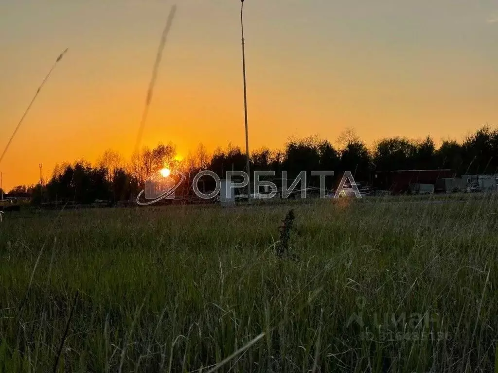 Участок в Тюменская область, Тюменский район, Новокаменский кп ул. ... - Фото 1