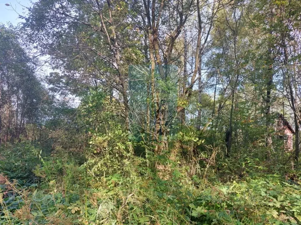 Участок в Москва Тетеринки СНТ, 3 (5.98 сот.) - Фото 2