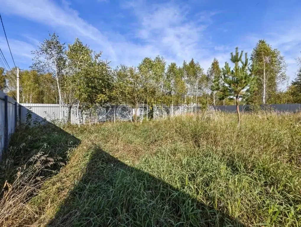 Участок в Тюменская область, Нижнетавдинский район, Геолог-2 СНТ  ... - Фото 1