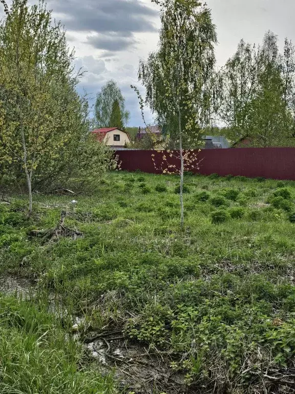 Участок, 10 сот., сельхоз (снт или днп) - Фото 0