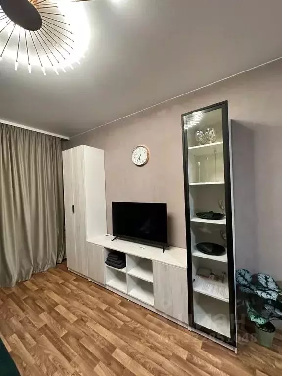 Студия Псковская область, Остров ул. Освобождения, 7А (27.0 м) - Фото 2