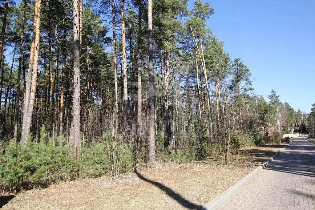 Участок в Московская область, Одинцовский городской округ, пос. ... - Фото 2