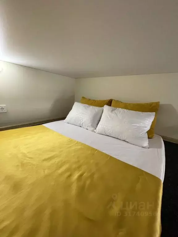 1-к кв. Санкт-Петербург Кронверкский просп., 75 (15.0 м) - Фото 0