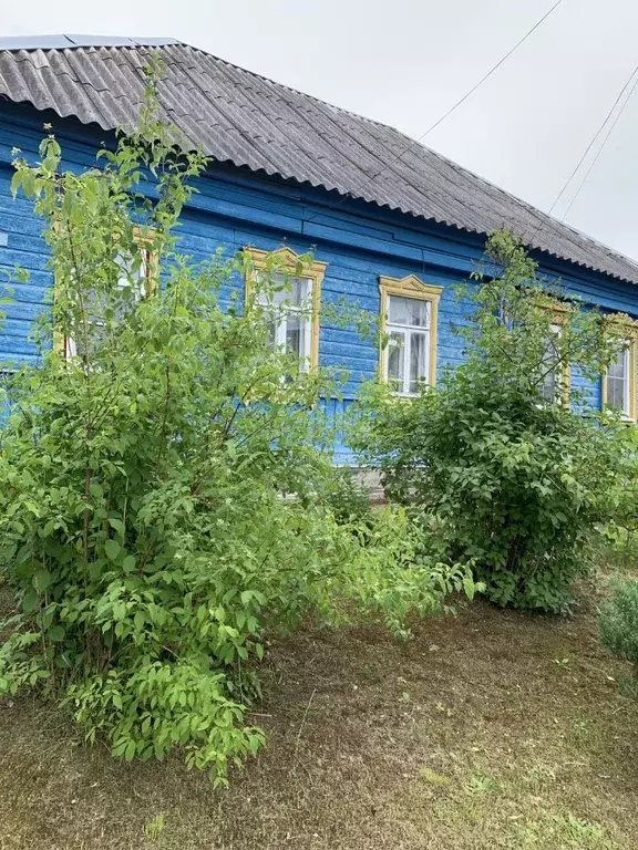 1-к кв. Калужская область, Юхнов ул. Бебеля (28.0 м) - Фото 2