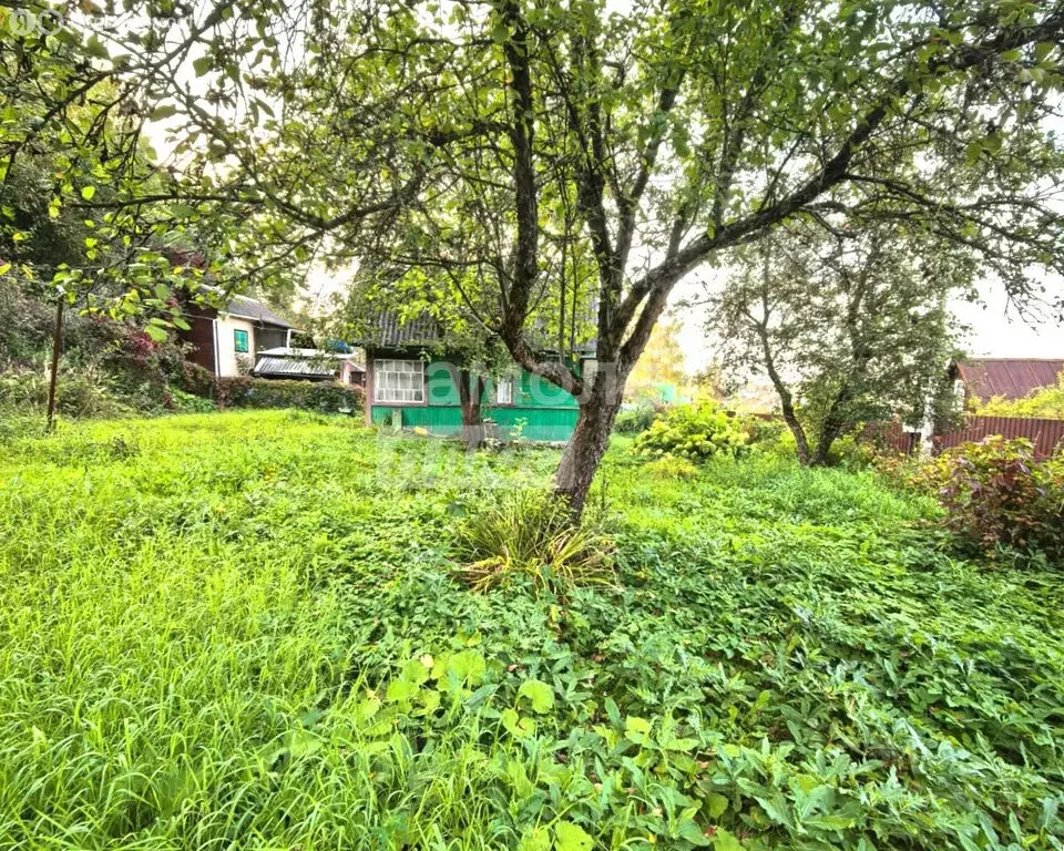 Дом в Дмитров, СНТ Родник, 48 (60 м) - Фото 2