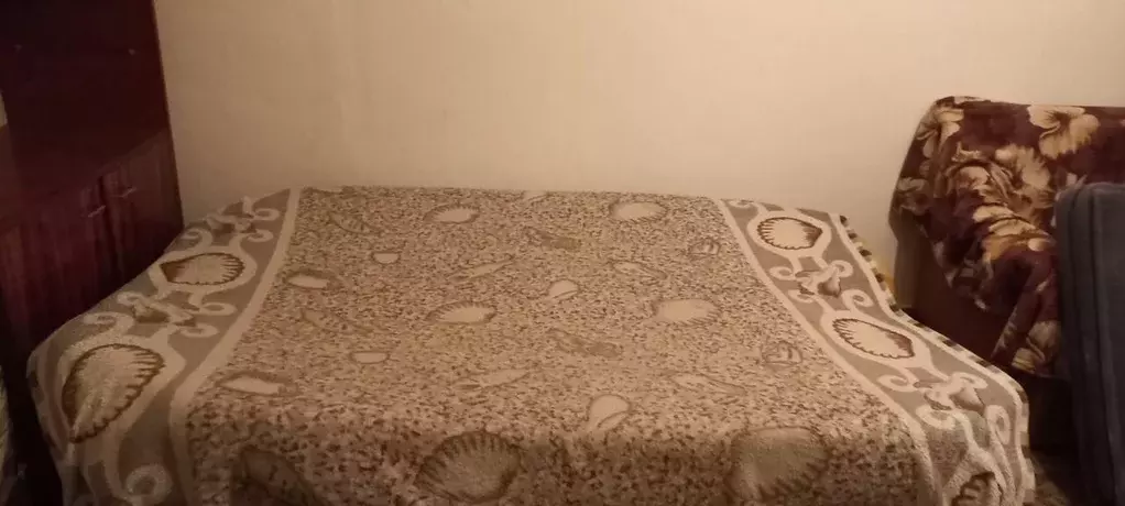 1-к кв. Новосибирская область, Новосибирск просп. Карла Маркса, 17 ... - Фото 2