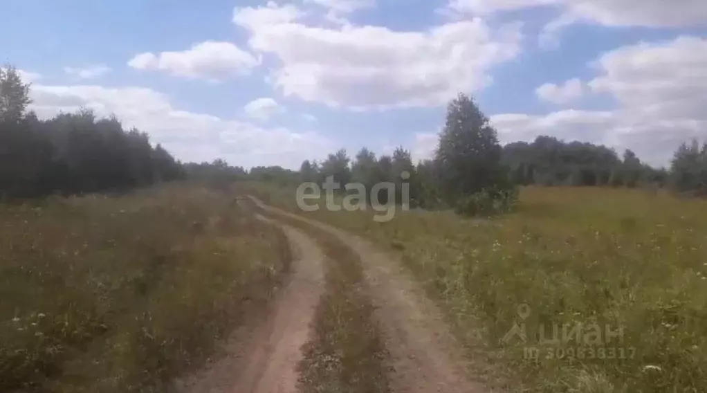 Участок в Новосибирская область, Мошковский район, Сокурские дачи СНТ  ... - Фото 0