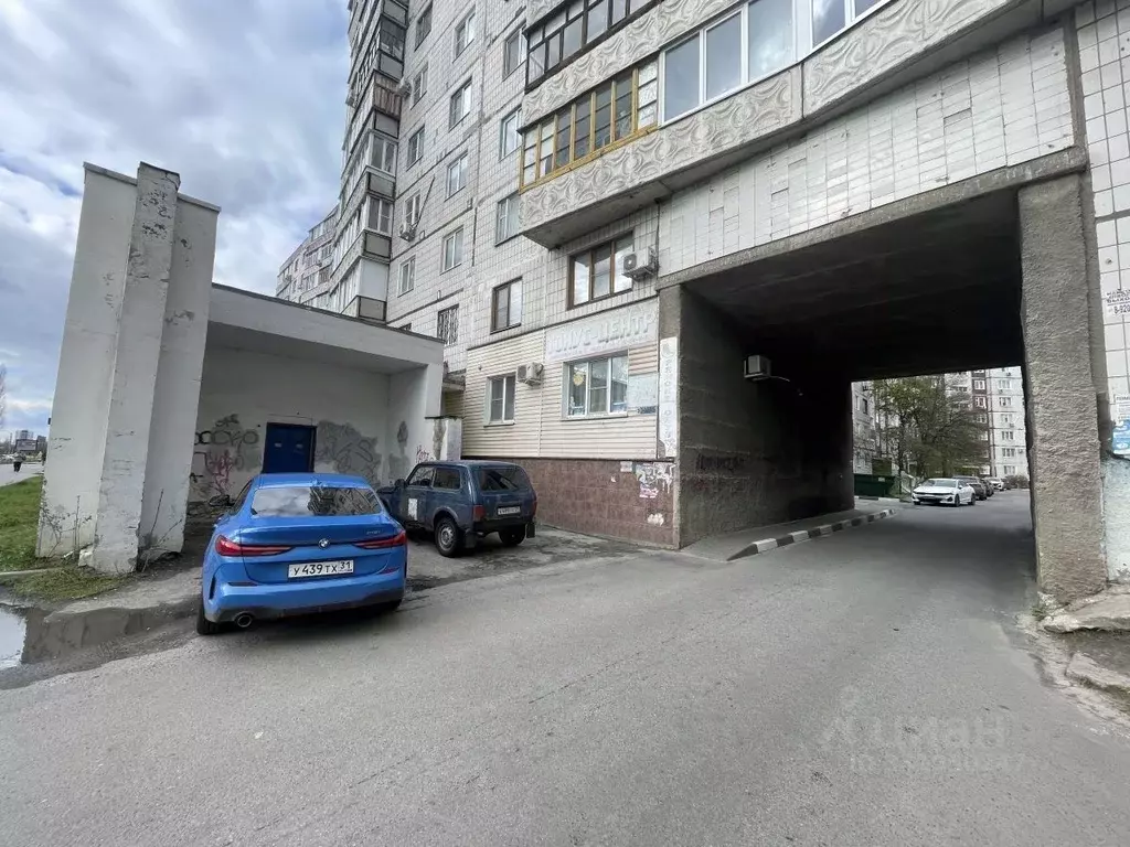 Офис в Белгородская область, Старый Оскол Солнечный мкр, 3 (87 м) - Фото 1