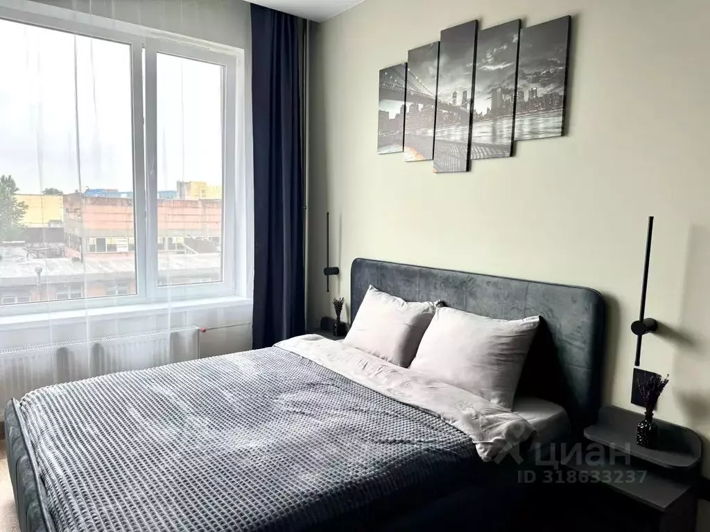 1-к кв. Санкт-Петербург просп. Энергетиков, 8к2 (29.0 м) - Фото 0