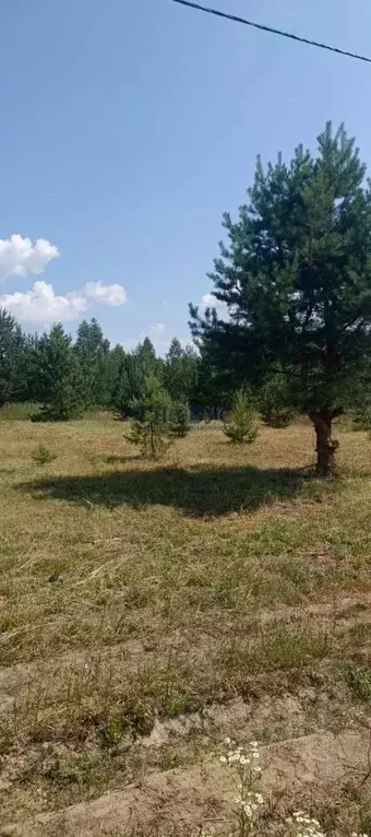 Участок в Рязанская область, Рязанский муниципальный округ, пос. ... - Фото 2